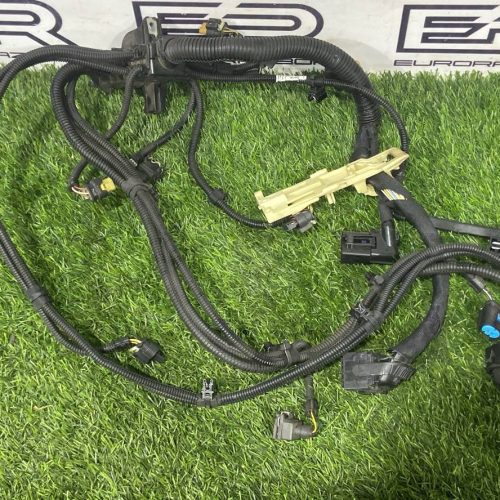 Проводка двигателя BMW 5 G30/G31