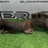 Выпускной коллектор правый range rover 306dt