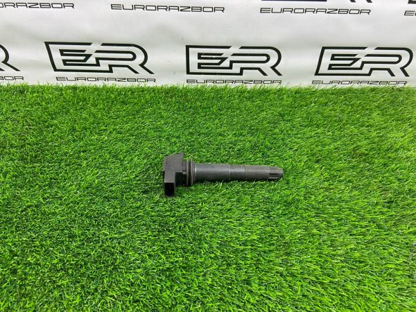 Катушка зажигания Cayenne 955