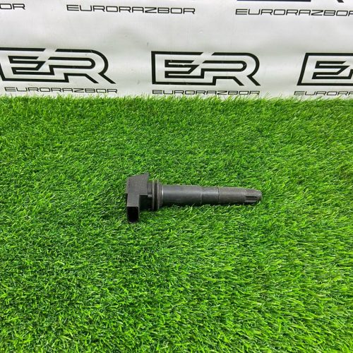 Катушка зажигания Cayenne 955