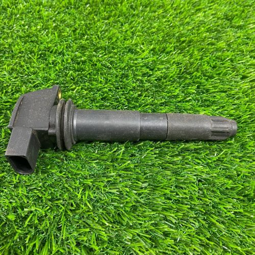 Катушка зажигания Cayenne 955