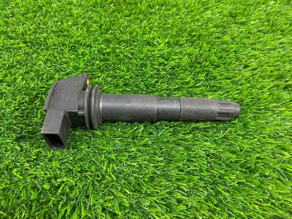 Катушка зажигания Cayenne 955