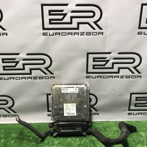 Блок управления двигателем A6519003403