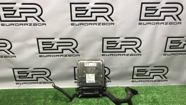 Блок управления двигателем A6519003403