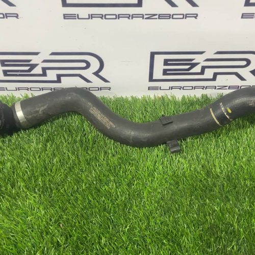 Патрубок (шланг