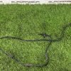Проводка датчика ABS Mercedes W222 Проводка датчика ABS Mercedes W222