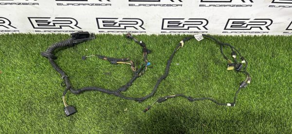 Проводка двери передней правой BMW F15